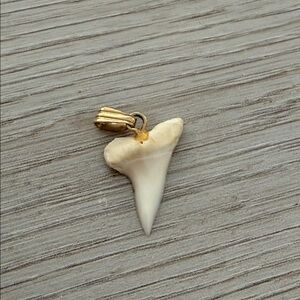 Gold Tone Shark Tooth Pendant